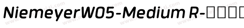 NiemeyerW05-Medium R字体转换